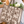 Maru Jungle Quilted Cotton Tote Bag – 18x18