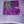 Quilted Tote Bag - Violet Safari