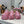 Quilted Pouch Trio - Blush Bloom