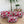 Quilted Pouch Trio - Ruby Floral