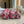 Quilted Pouch Trio - Ruby Floral