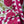 Rosy Bloom Quilted Tote Bag
