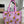 Gulabi Bloom - Tote Bag