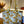 Mushroom Meadow  Tote Bag