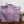 Quilted Tote Bag - Rangrez Paisley