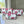 Pink Tulip - Pouch Set