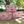 Three pink and white striped fabric pouches with red heart patterns are stacked on a wooden bench outdoors with a blurred garden background.