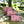 Candy Hearts Pouch Set of 3