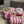 Quilted Pouch Trio- Candy Bloom