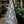 Raagini – Jaipuri Cotton Waffle Bath Towel