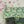 Green Whisper Quilted Tote Bag