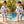 Balloon Dreams Waffle Cotton Bathrobe for Kids