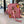 Red Lemon Duffle Bag