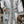 Forest Bloom Bathrobe