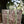 Olive Bloom Quilted Tote Bag