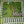 Emerald Safari Quilted Tote Bag