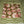 Olive Bloom Quilted Tote Bag