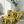 Golden Trail - Tote Bag