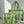 Green Stripe - Tote Bag